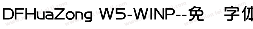 DFHuaZong W5-WINP-字体转换